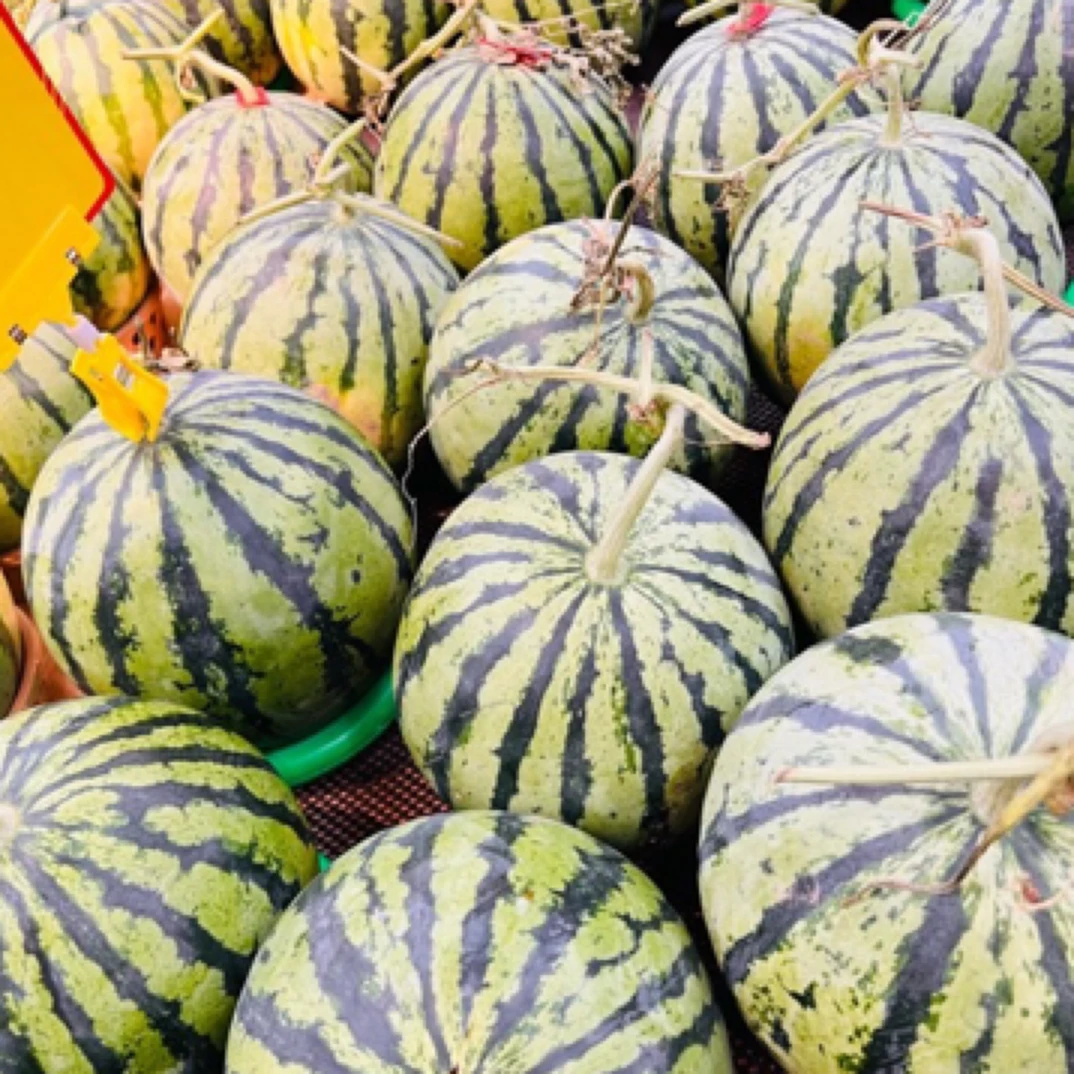 盐城美都西瓜3200克西瓜同城配江苏省