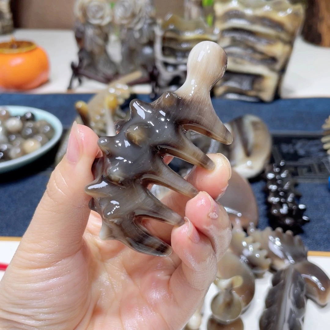 黑金刚福利款海参刺猬