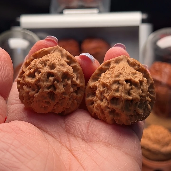 文玩核桃把件玄月 全品