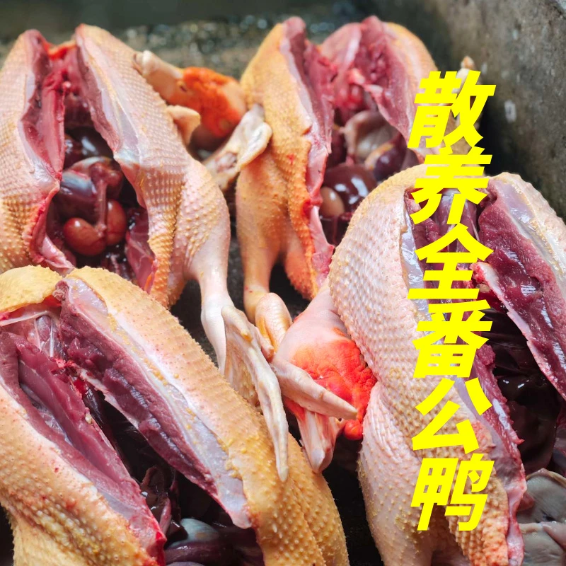 【延平全番鸭公】福建南平农家散养大鸭公现杀现发顺丰冷链包邮