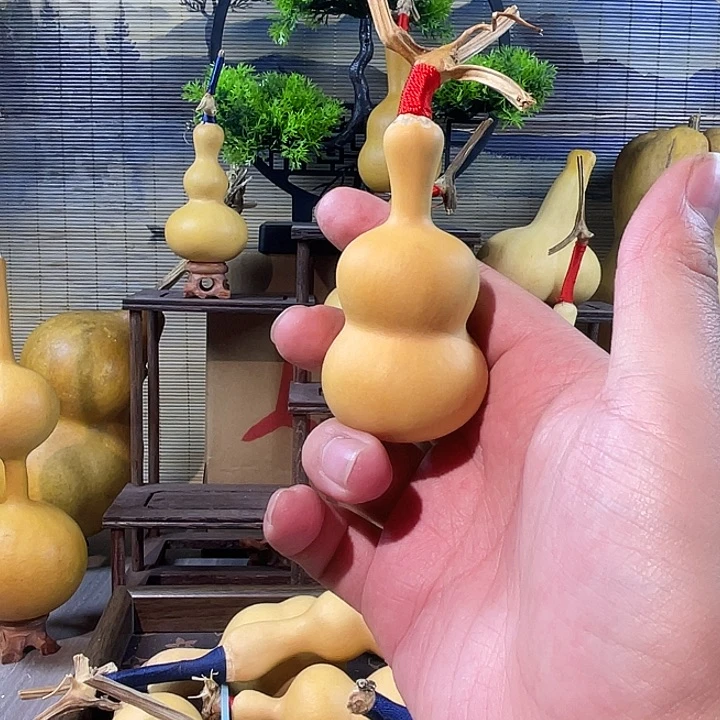 杨***鲤直播间文玩葫芦