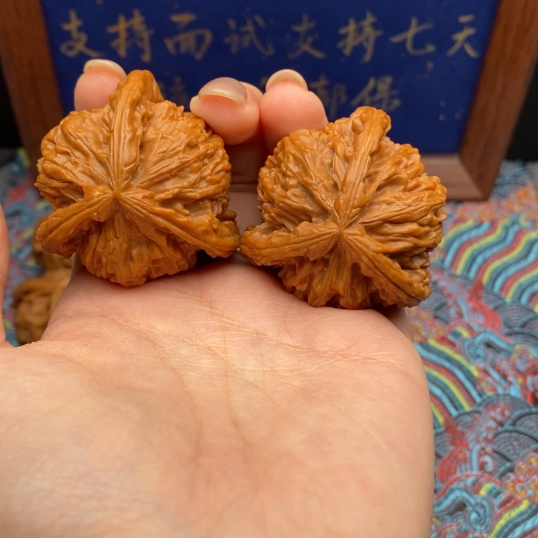 【闪购商品】清**你白狮