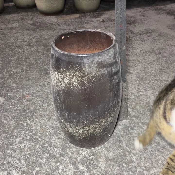 口15高29瑕疵瑕疵