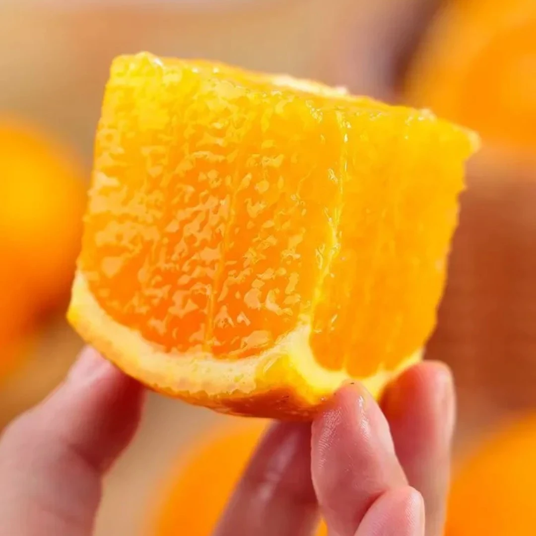 【仙果哆哆】伦晚橙4.4-4.6斤左右优质农产品