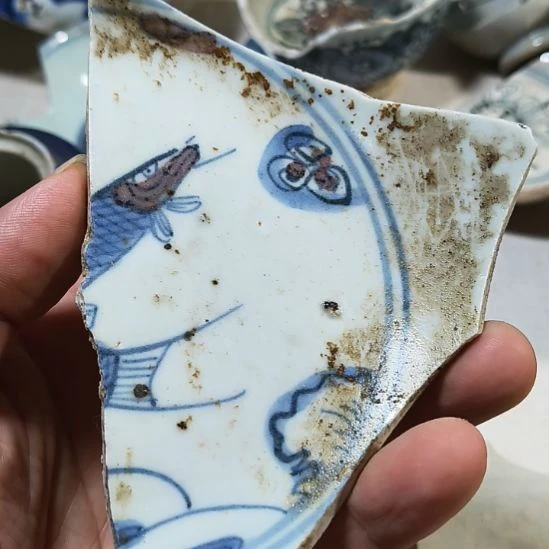 瓷片瓷片瓷片瓷片瓷片