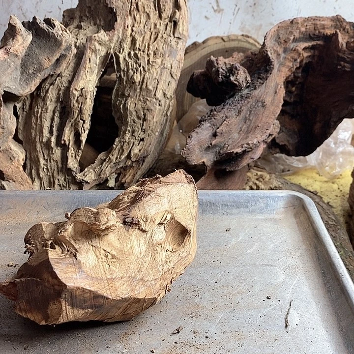 黄花梨/降香黄檀神