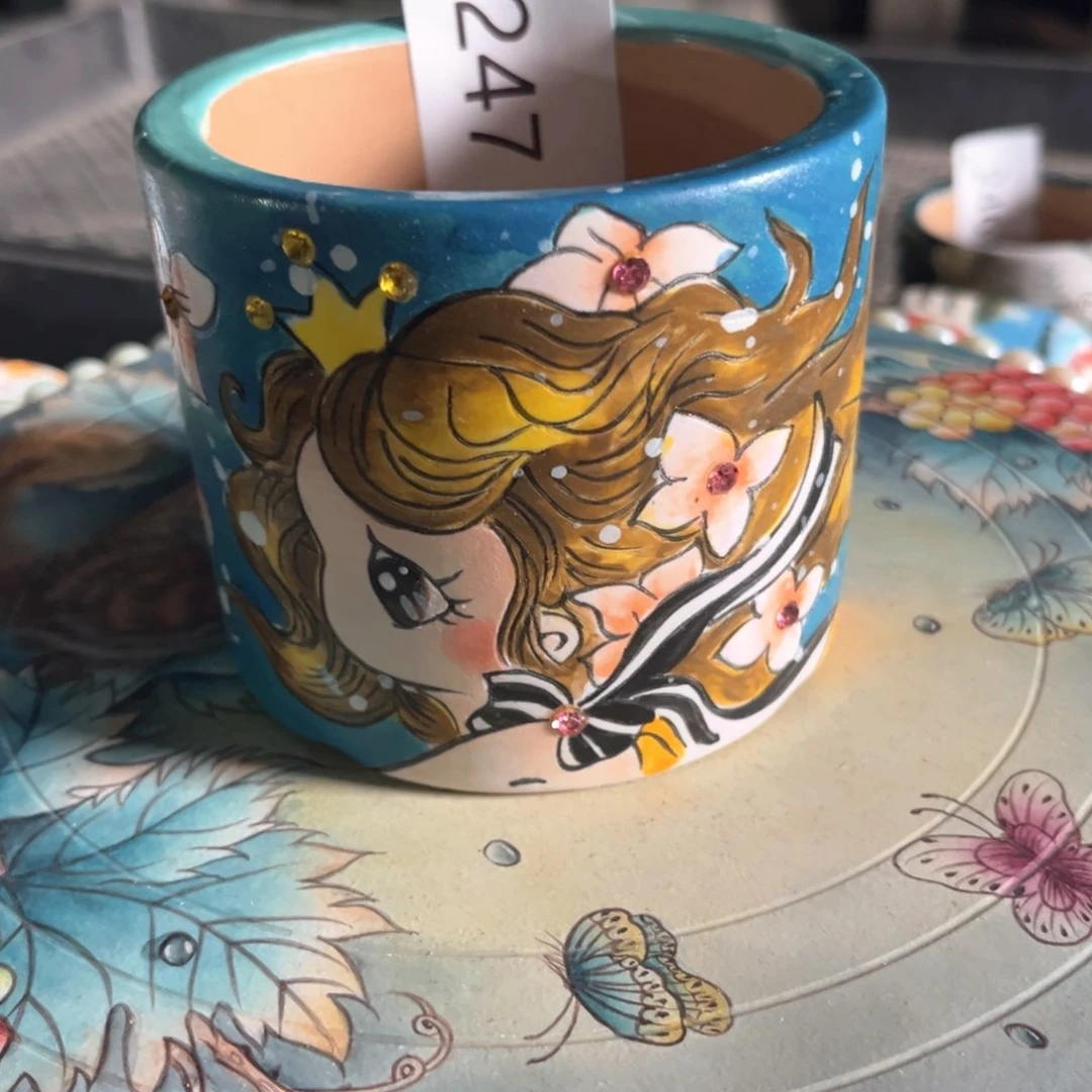 石**师247多肉花盆1个