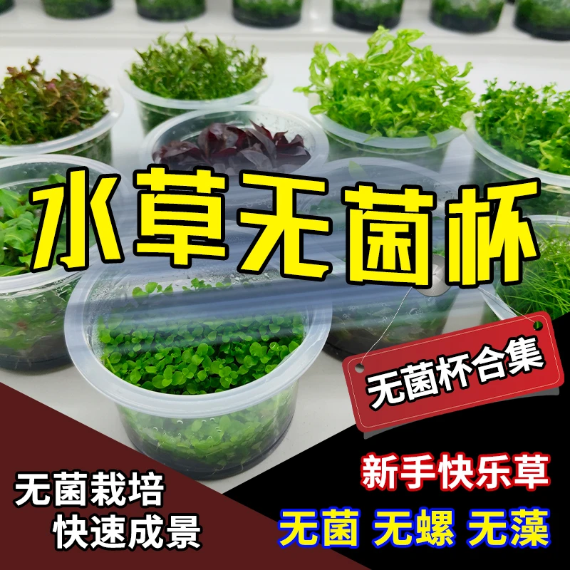 【无菌杯合集】无菌杯水草鱼缸造景前景中景后景水草泥种植水草缸