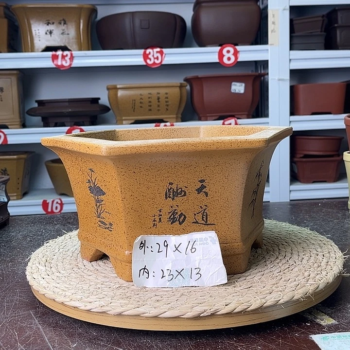 花盆紫砂你在一起