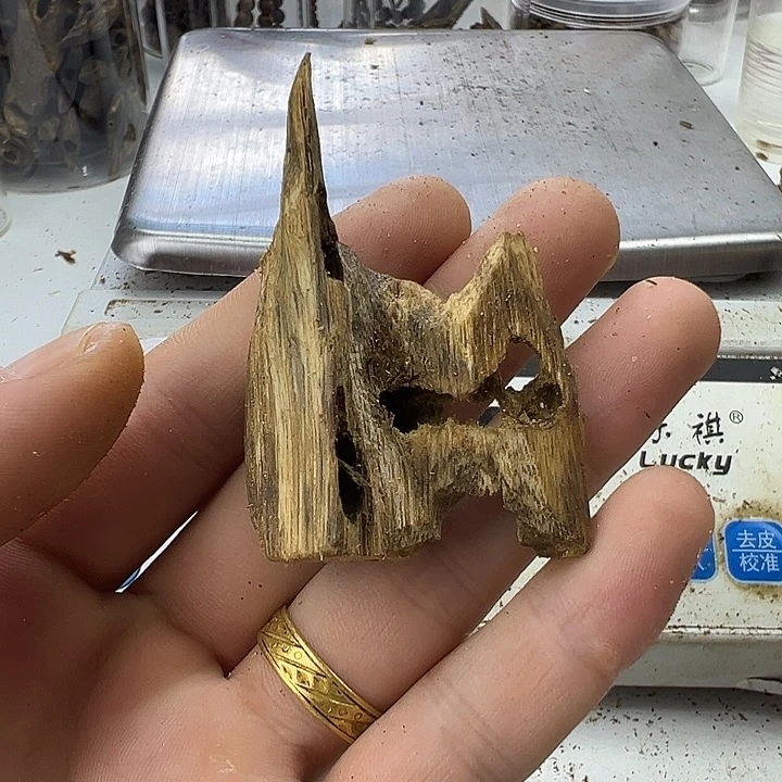 沉香沉香碎屑白露5克