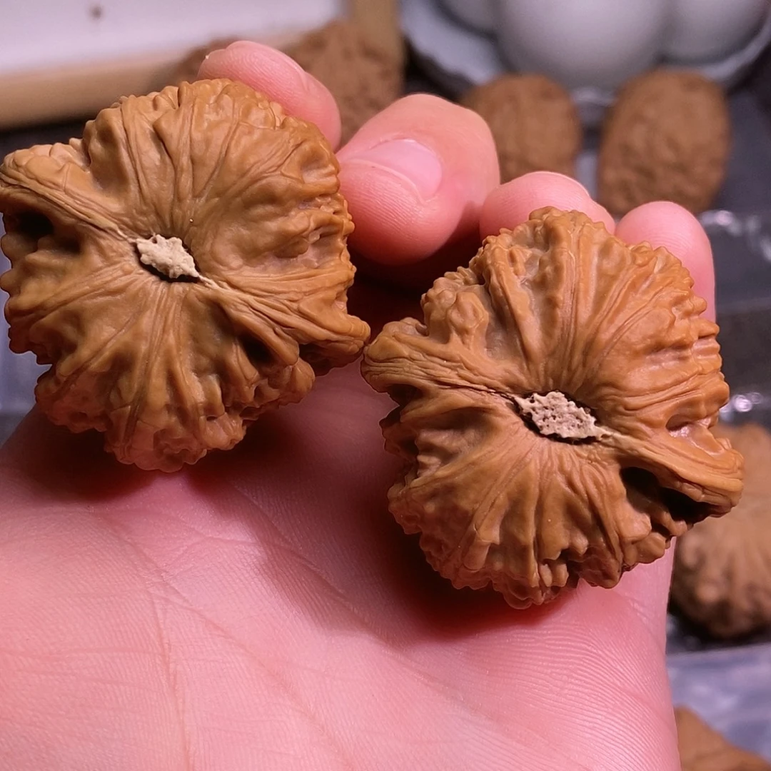 文玩核桃把件白狮子42