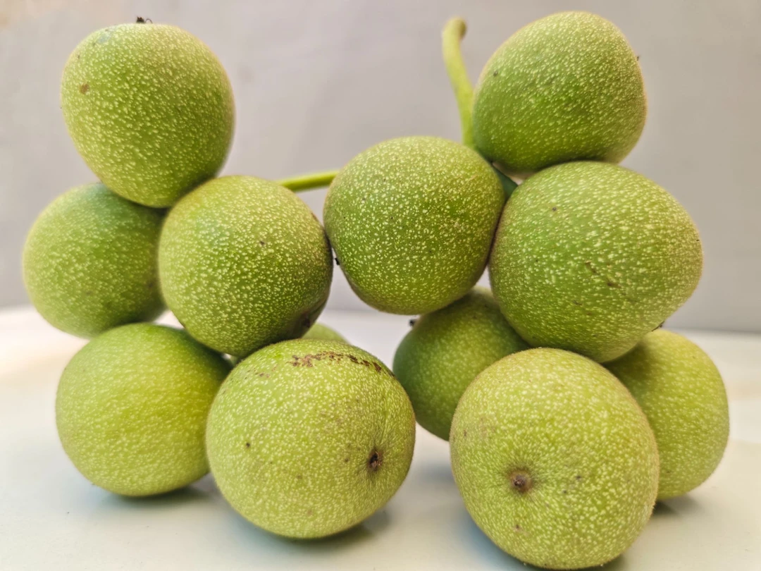 青皮核桃新鲜湿核甘肃太石河乡鲜吃嫩核桃高山老树核桃