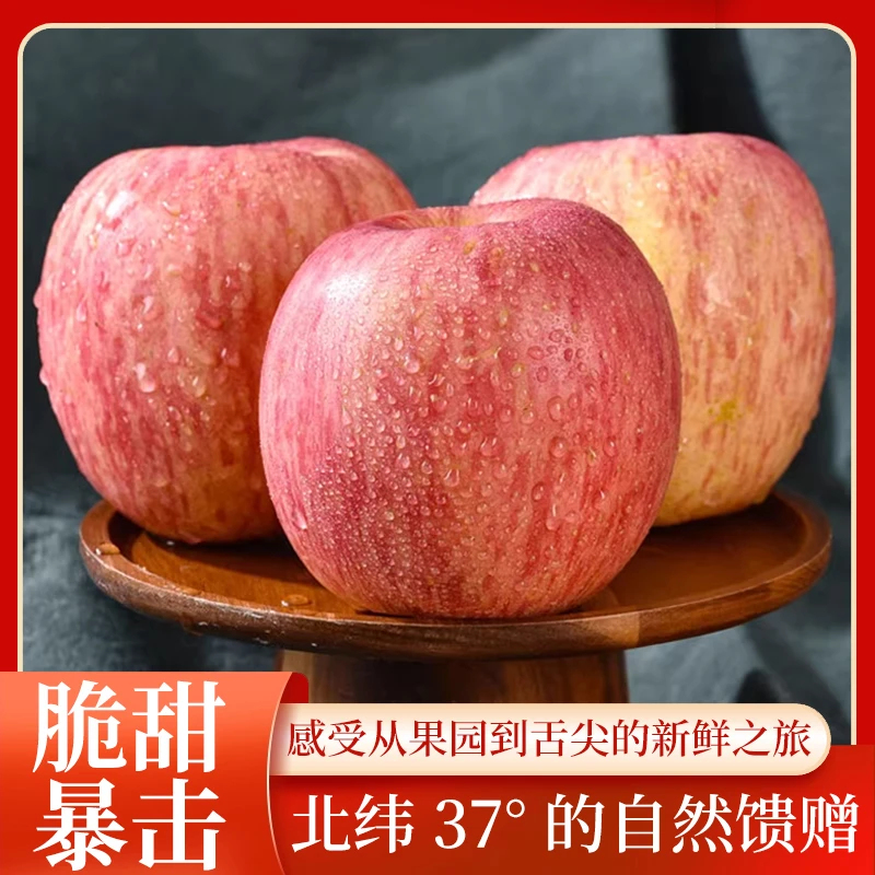 【京东发货精品水果】新鲜采摘红富士山东省产地直发80mm