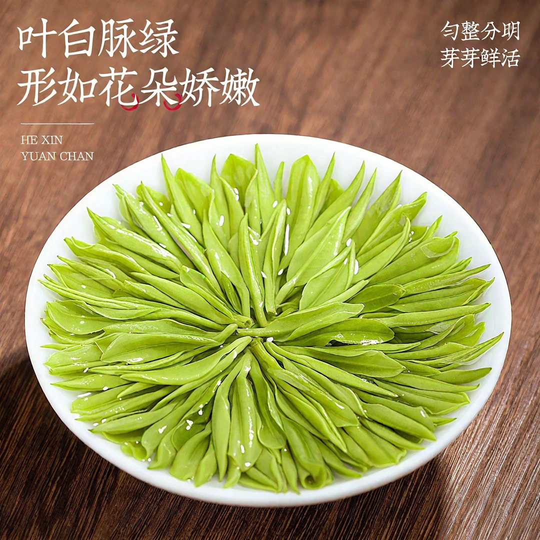 口粮安吉白茶2025新茶茶叶明前嫩芽兰花香绿茶罐装高档礼盒装正品
