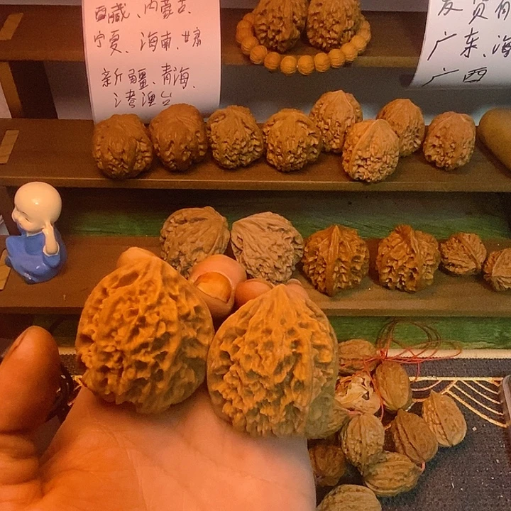 大***儿野牛全品39.38.42
