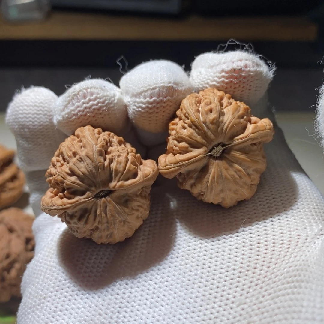 文玩核桃把件小*丫白狮子30