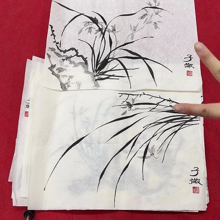 国画花鸟的翅膀和翅膀是金妹