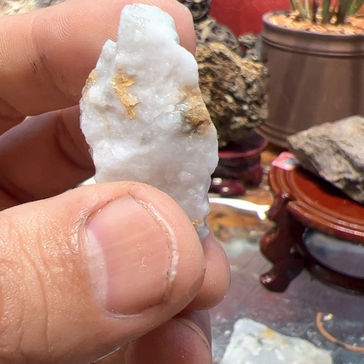 聚金阁的自然金标本