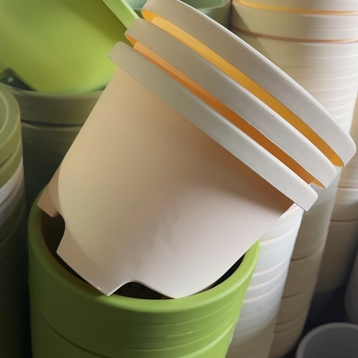 球根32口径5个无托米黄