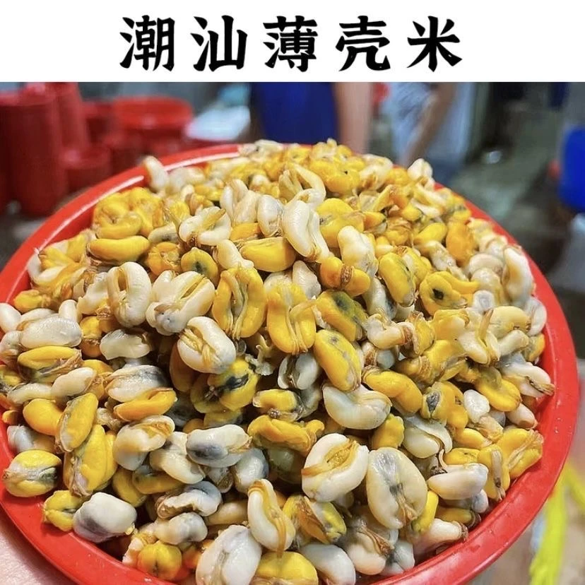 （新鲜海瓜子肉）潮汕新鲜海瓜子肉薄壳米红肉米新鲜现开