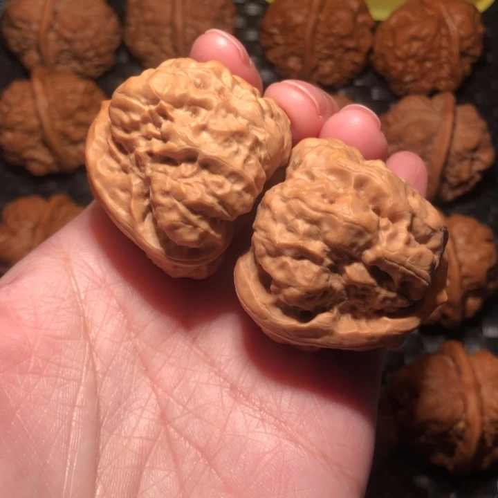 任***文文玩核桃把件蛤蟆