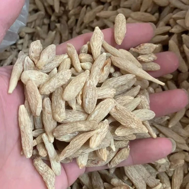 四川绵冬 麦冬250g