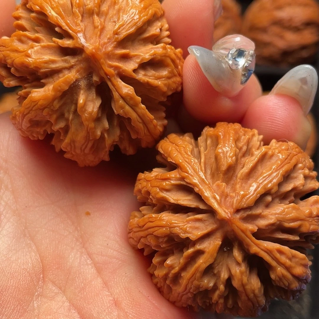 文玩核桃把件秦岭山脉核桃
