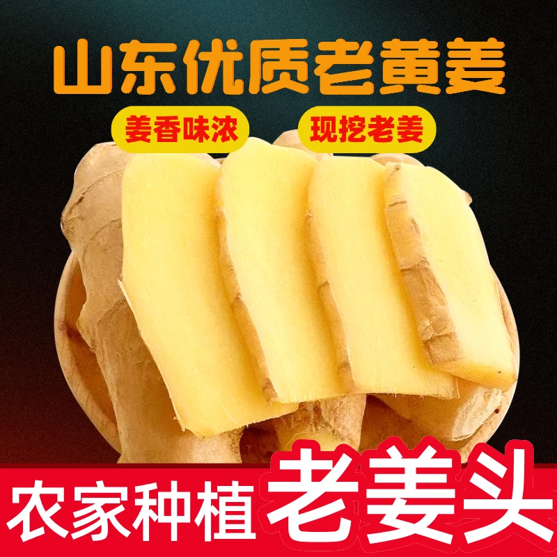 【1年老姜】山东生姜新鲜今年老姜大姜健康生姜纯正黄姜母大姜