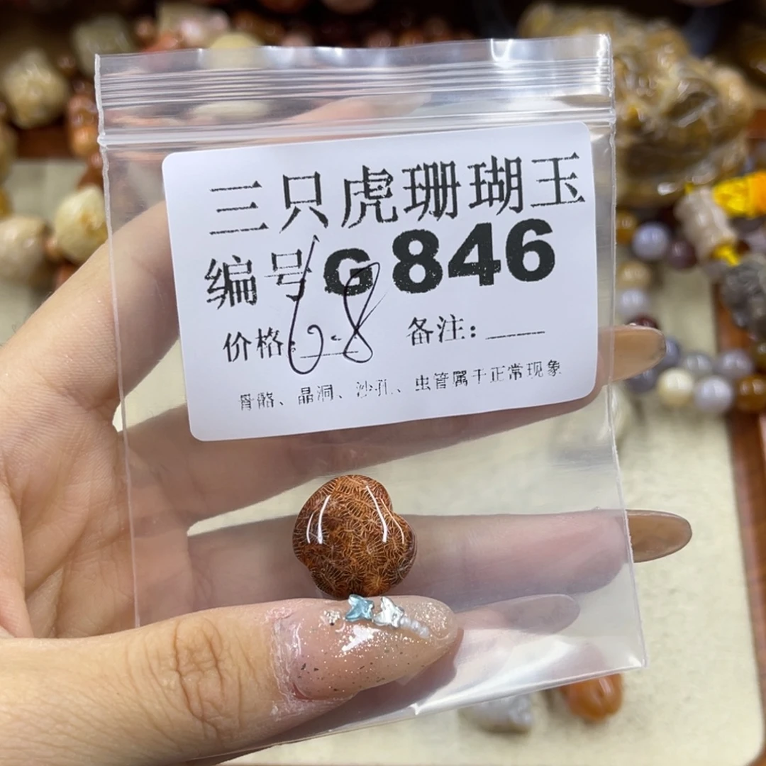 h****硅化珊瑚（珊瑚玉）未镶嵌h