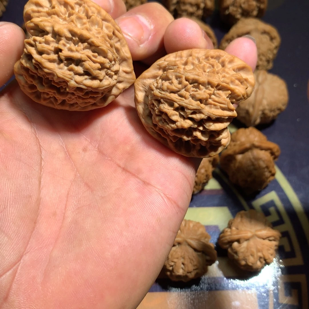 文玩核桃吊坠珊瑚纹41