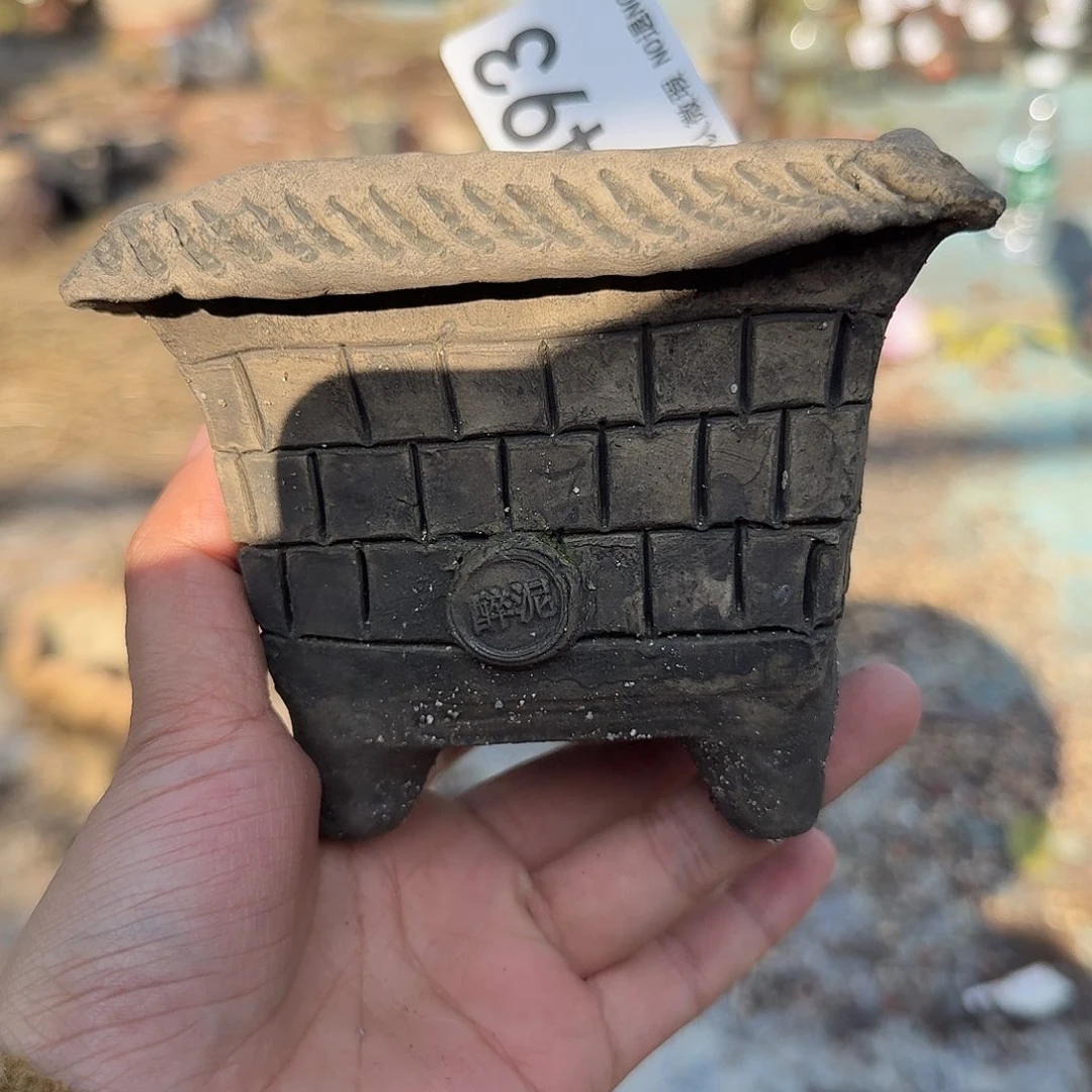 重庆小燕子欢迎大家493