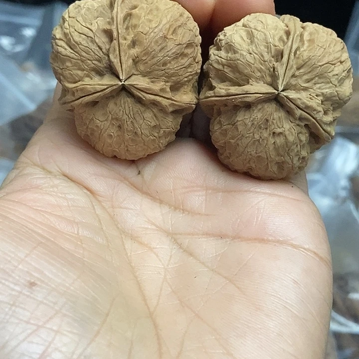 文玩核桃把件云南铁核桃基地98