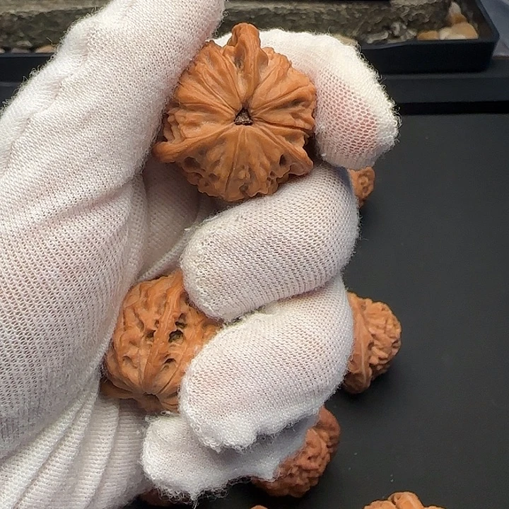 雪***郝把件桃核糖三角25-992