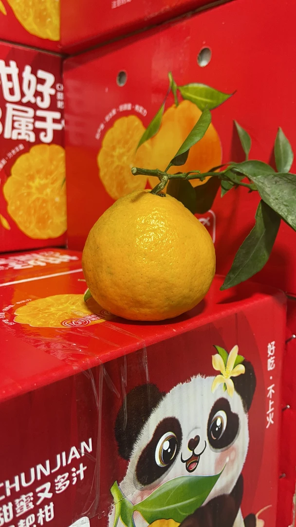 四川春见耙耙柑新鲜多汁爽口现摘香甜橘子包邮