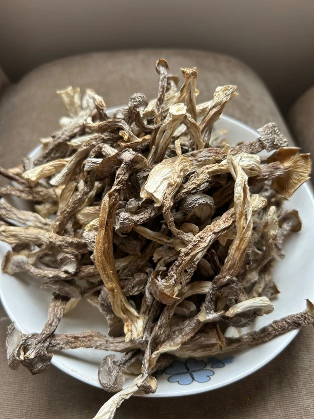 鹿茸菇农家自晒干货