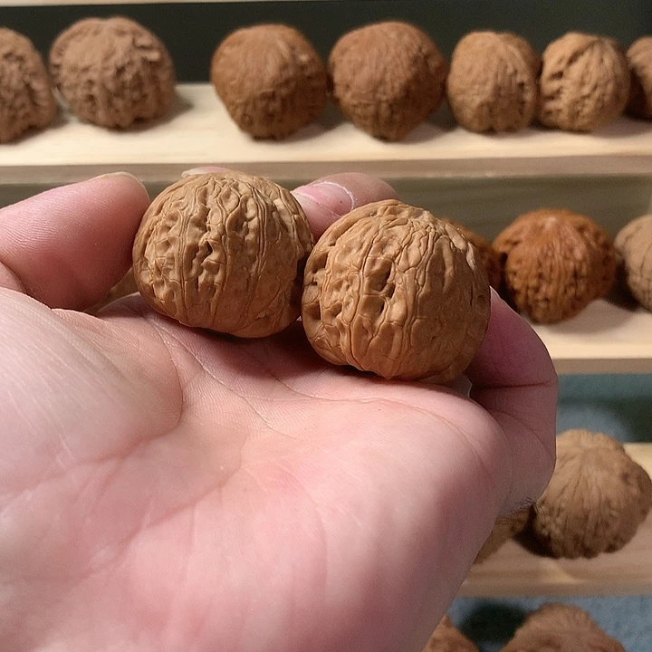 吊坠文玩核桃乾隆魔