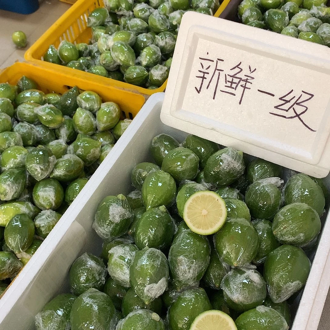香水柠檬绿寻直播专用福利
