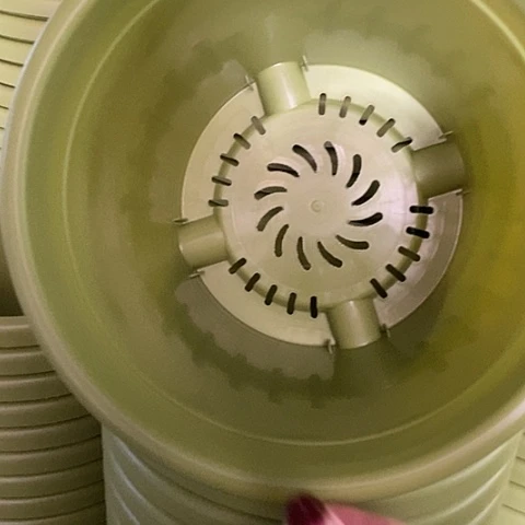树脂四季4号果绿无托8个微瑕