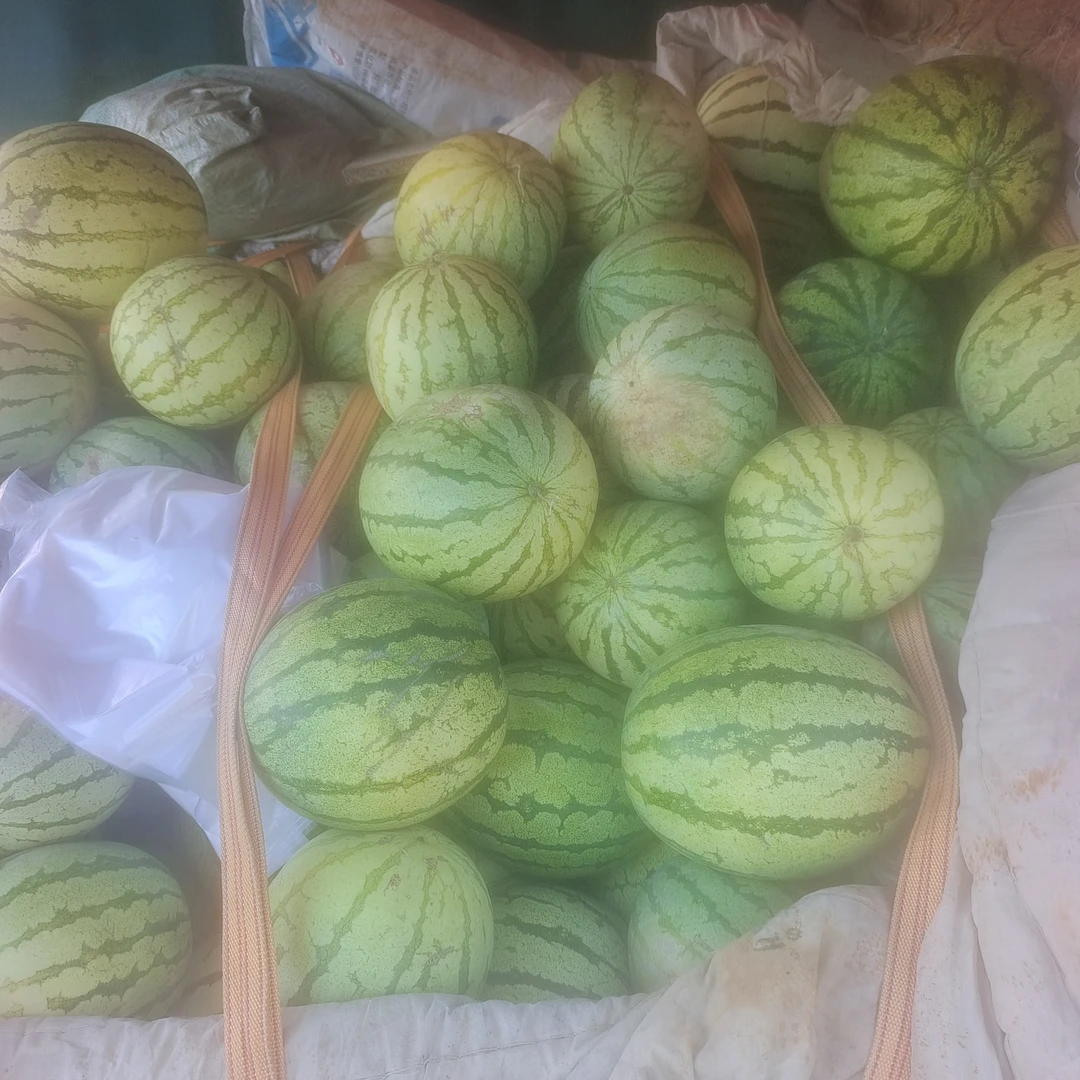 应季农产品籽瓜新鲜整箱包熟黑籽