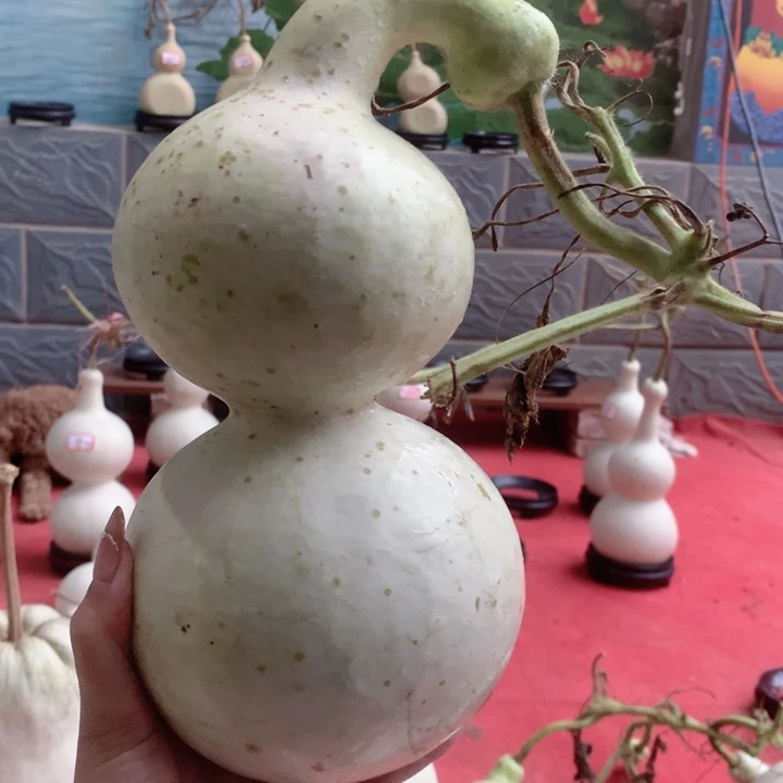 颜***包中号尺寸鹰嘴中号