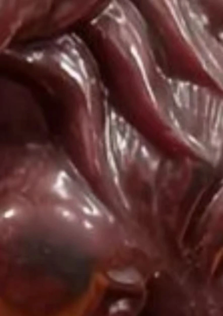 【悟坤老师】九九归缘之业障摆件