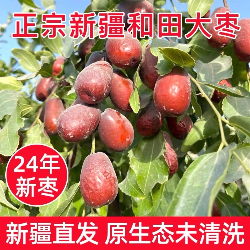 【自家种植】24年原生态新疆和田大枣自然吊干（人工精选大果）产地发