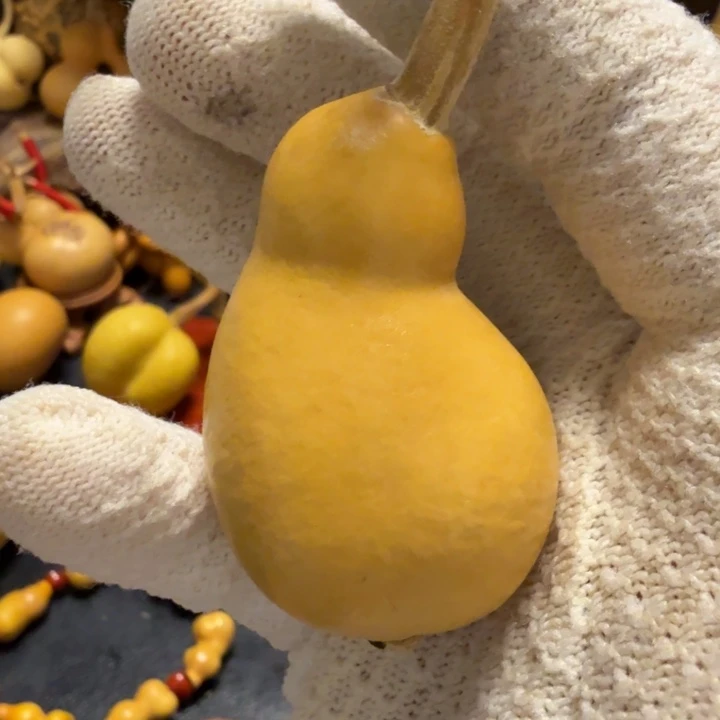 ～****6…………………………………………