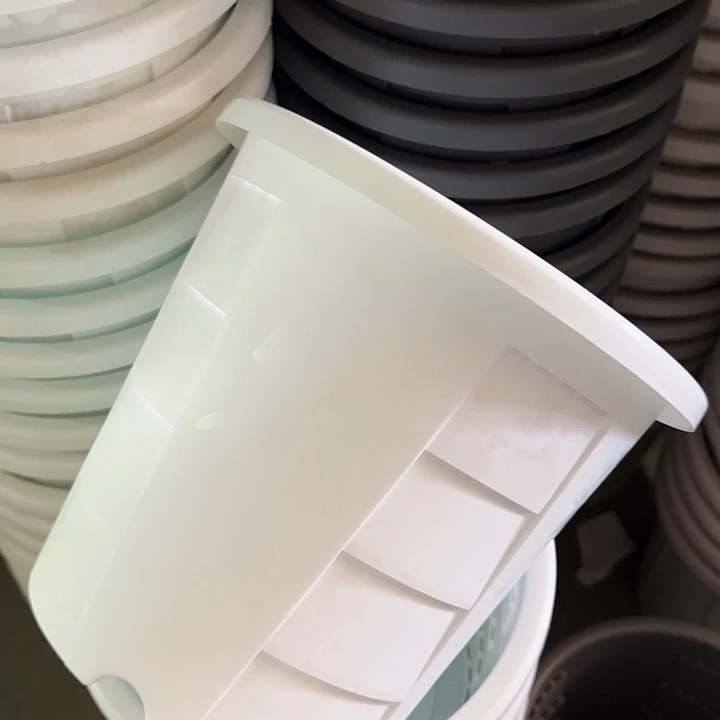 测30口径纯白无托8个特价