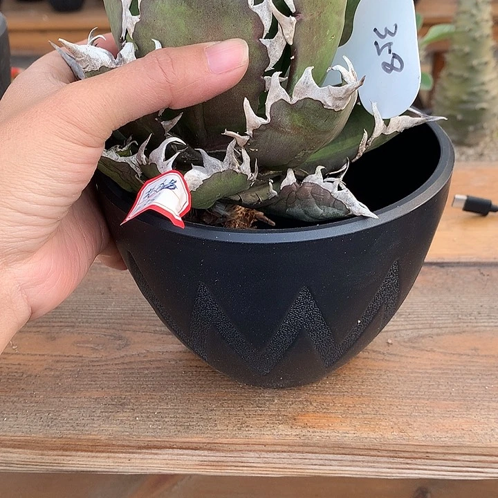 嘴**叔358盆1111111111