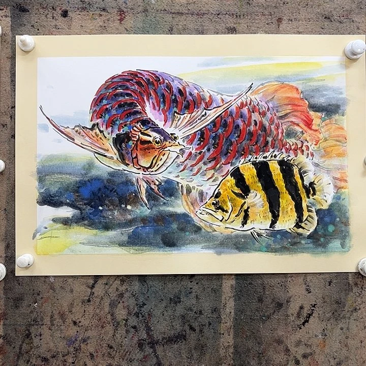 国画?****欧武国画龙鱼小品