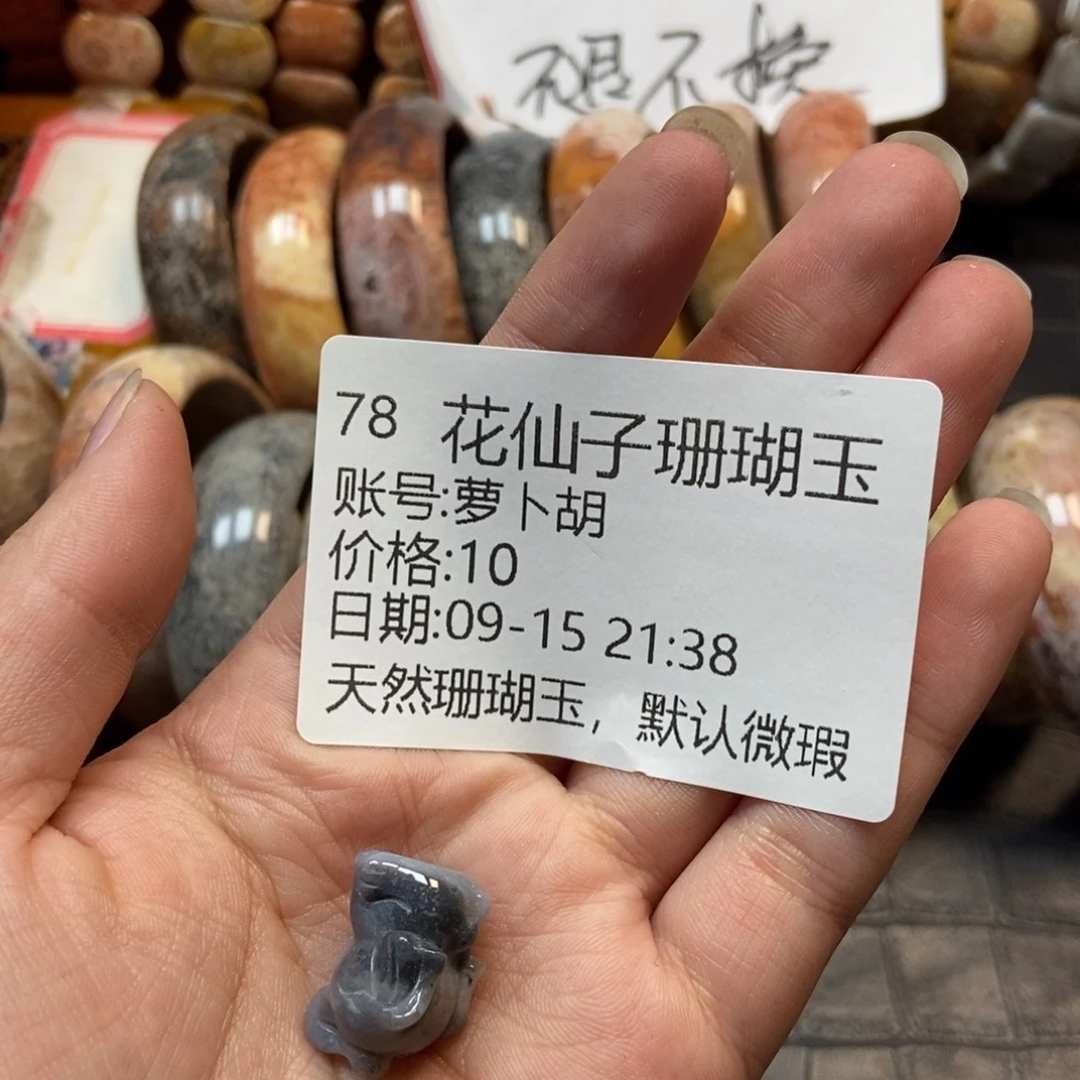 萝***胡未镶嵌硅化珊瑚（珊瑚玉）珠宝半成品78