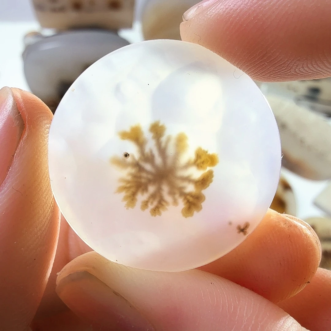 玛瑙/玉髓未镶嵌珠宝半成品