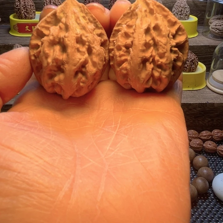 核桃24号车放漏漏漏漏