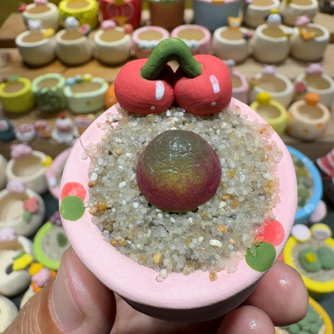 蘑菇1235灯泡多肉植物
